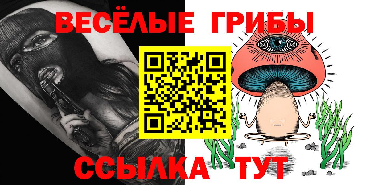 где можно купить наркотик  Галлюциногенные грибы Cubensis  Вход с VPN  Магнитогорск 